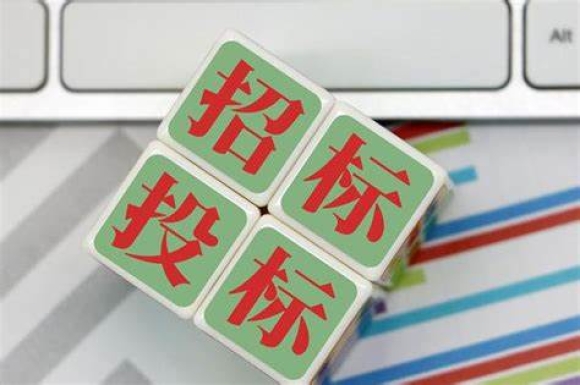 如何平衡招标采购中的合规性与效率？